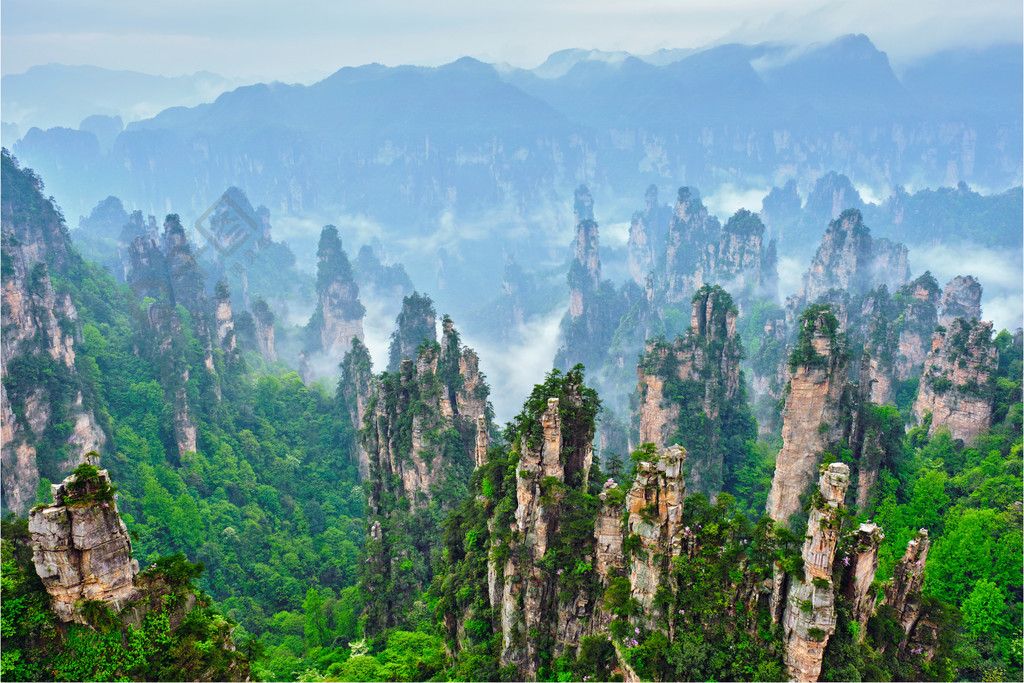 中國的著名旅遊勝地-張家界石在霧嶺的柱子峭壁山在武陵源,湖南,中國