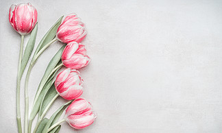 可爱的粉红彩笔郁金香束，在明亮的背景，顶视图的花卉边框春季假期的<i>布</i>局母亲节贺卡