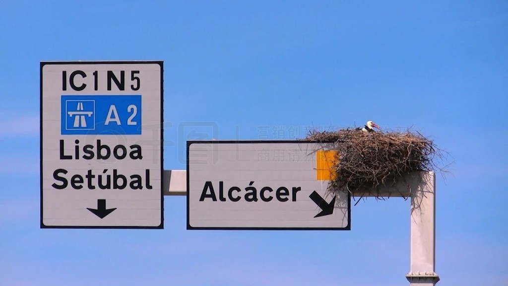 Ein Storchennest auf einem Straenschild Autobahnschildein Storch sitzt darin und brutet?Ͷϣ÷