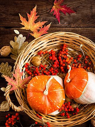 秋季背景与叶子和<i>南</i>瓜，感恩节和万圣节贺卡