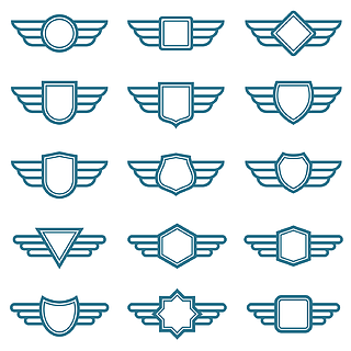 航空机翼标志图片