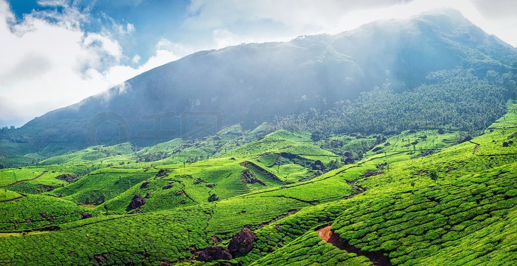 ֲ̲԰ȫֹɽ糿ӡϲMunnarֲ̲԰ȫ