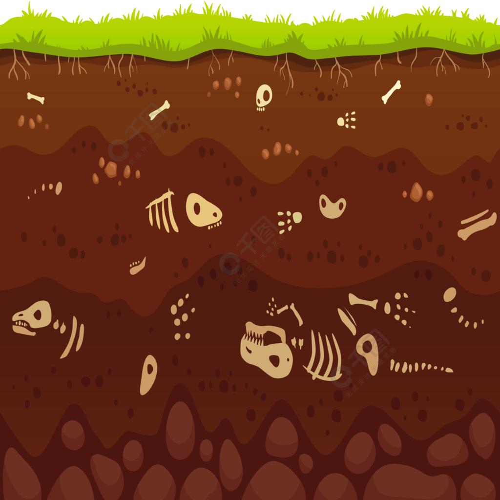 层中的考古骨骼埋葬的化石动物泥土中的恐龙骨骼和地下粘土层矢量图