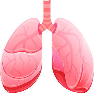 健康的肺部图标健康的肺部卡通矢量图标在白色背景上隔离的网络设计