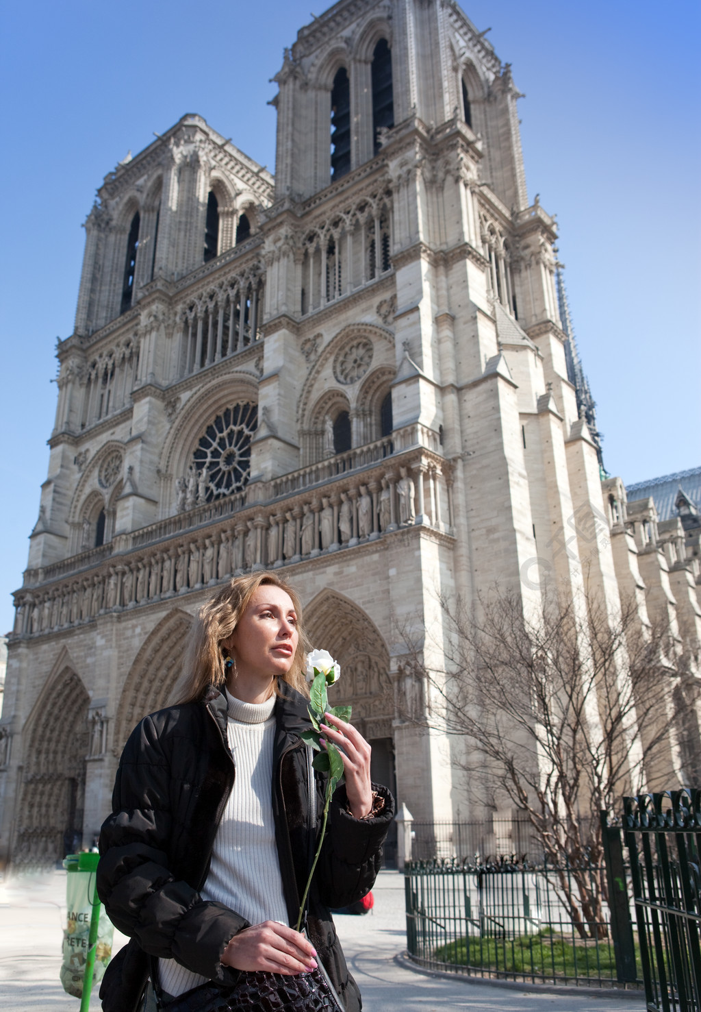 巴黎圣母院人物形象图片