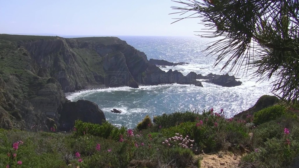 Blick auf den Ozean hohe Klippen eine Bucht von einer bunten Blumenwiese?ѶɭFelsen im Meer˹