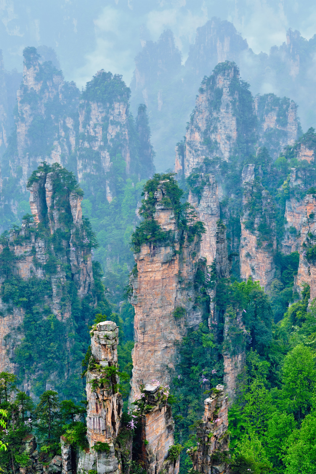 中國的著名旅遊勝地-張家界石在霧嶺的柱子峭壁山在武陵源,湖南,中國