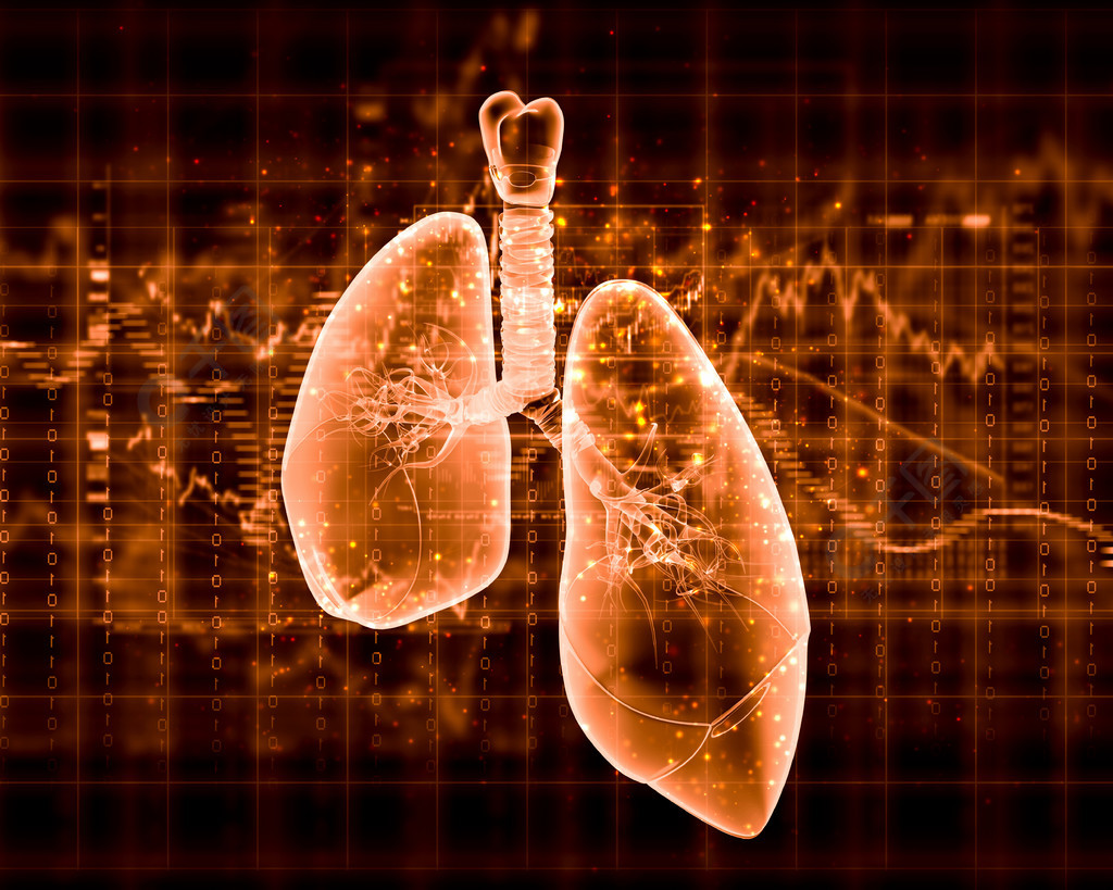 肺部彩图主题照片图片