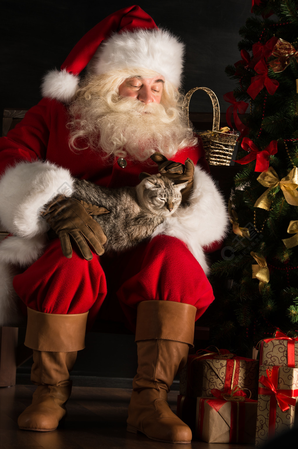 圣诞老人和金杰猫图片