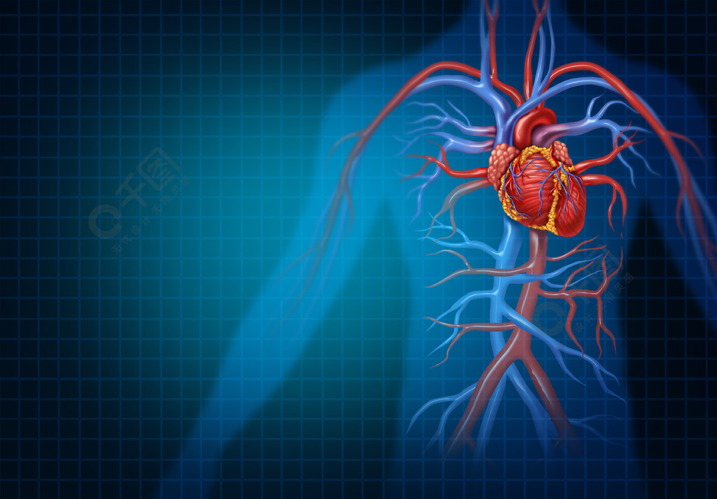 心臟病學和心血管心臟概念作為代表一個健康循環心臟器官的一個人血液