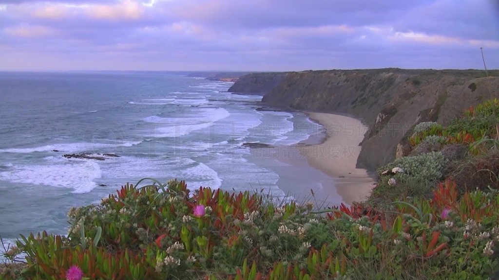 Blick auf weien Sandstrand am Meer vor Steilen Klippen?im Vordergrund eine bunte BlumenwieseΤײ÷˹