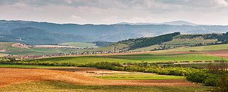 绿色春天小山在斯洛伐克四月阳光普照农村全景