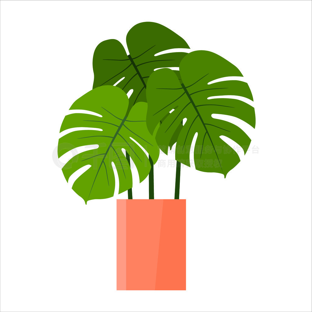 ޵Monsteraֲڰɫ֤