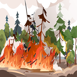 着火的树林简笔画图片