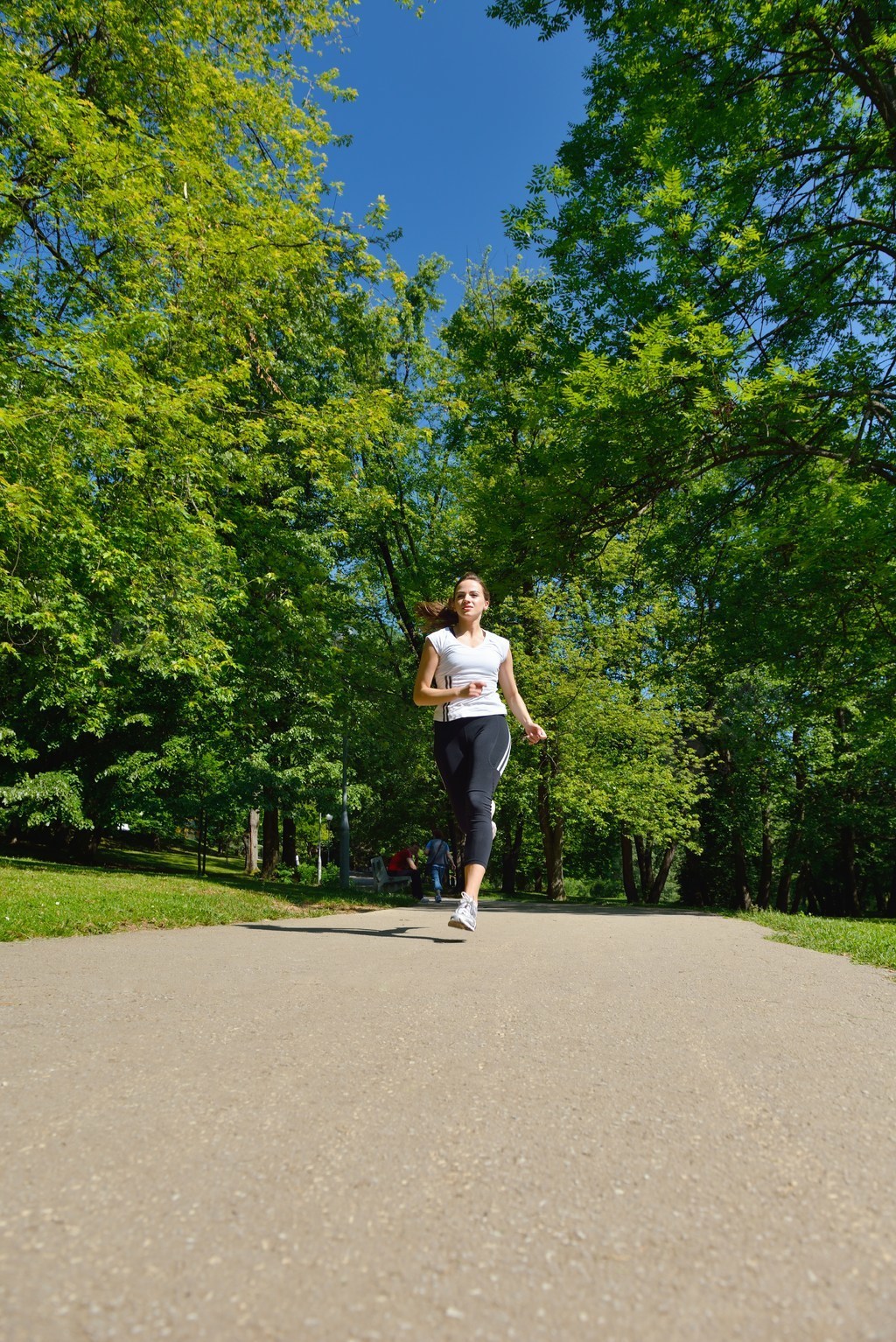 跑步在夏天公园的年轻美丽的妇女户外运动健康概念的女人1年前发布