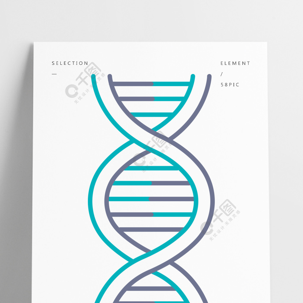 Dna螺旋紫和绿松石颜色图标脱氧核糖核酸，核酸结构螺旋线染色体分子生物学遗传密码基因组?遗传学孤立的矢量图