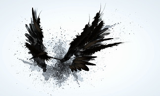 黑色的翅膀黑色的翅膀，在<i>明</i><i>亮</i>的背景下的抽象形象