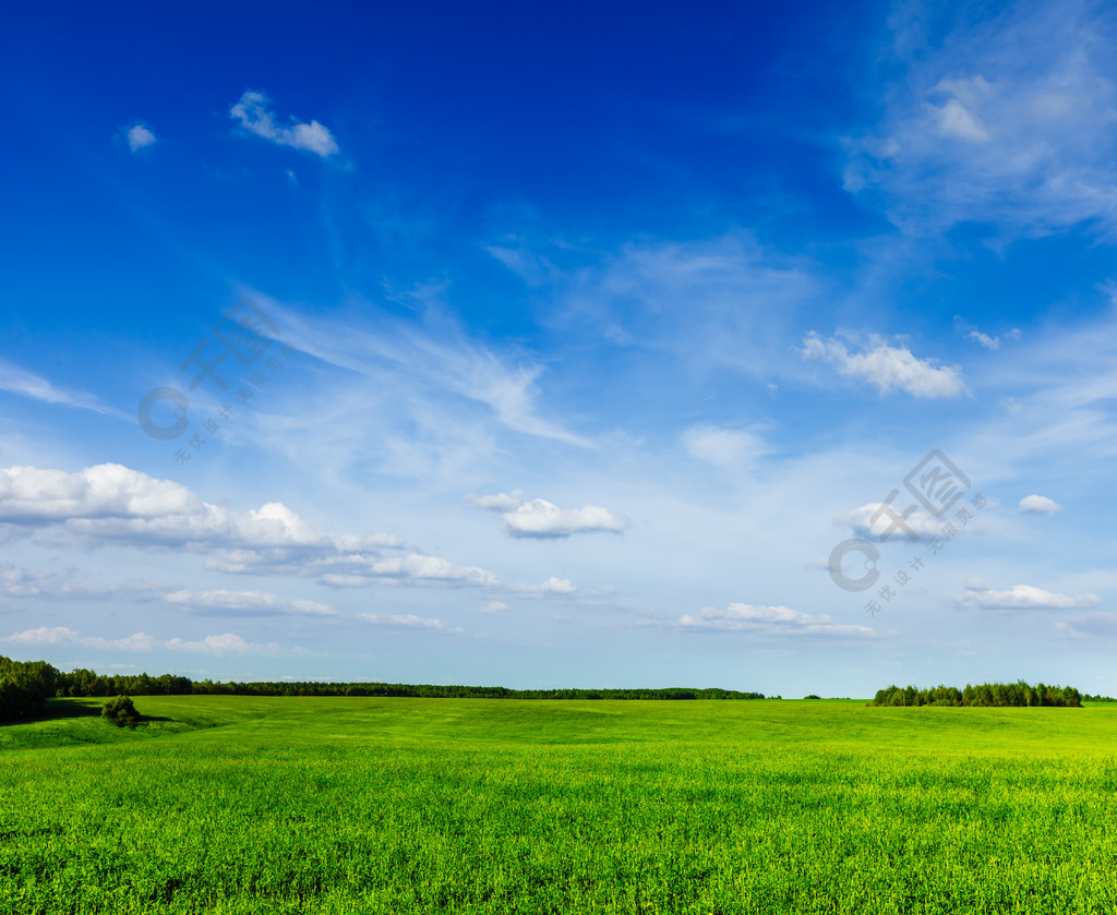 春天夏天背景-綠草領域草甸與藍天的風景lanscape