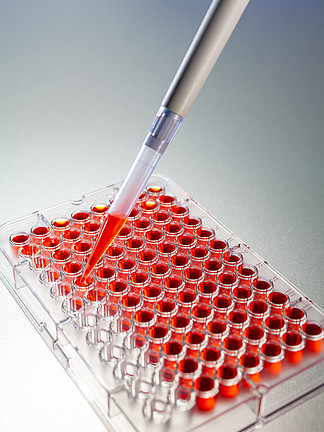 实验室血液测试或医学实验室研究用移液器和96 i
