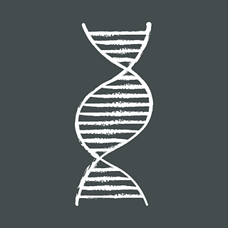 右手的dna螺旋粉筆圖標b-dna脫氧核糖核酸,核酸螺旋線染色體分子生物