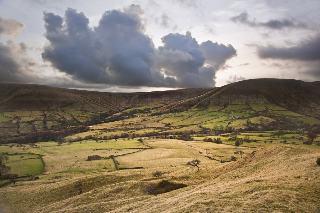 ҹ԰Kinder LowBrown Knoll