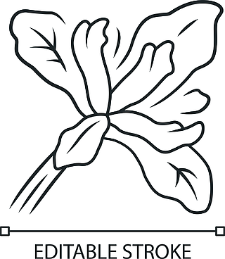 鸢尾花符号可复制图片