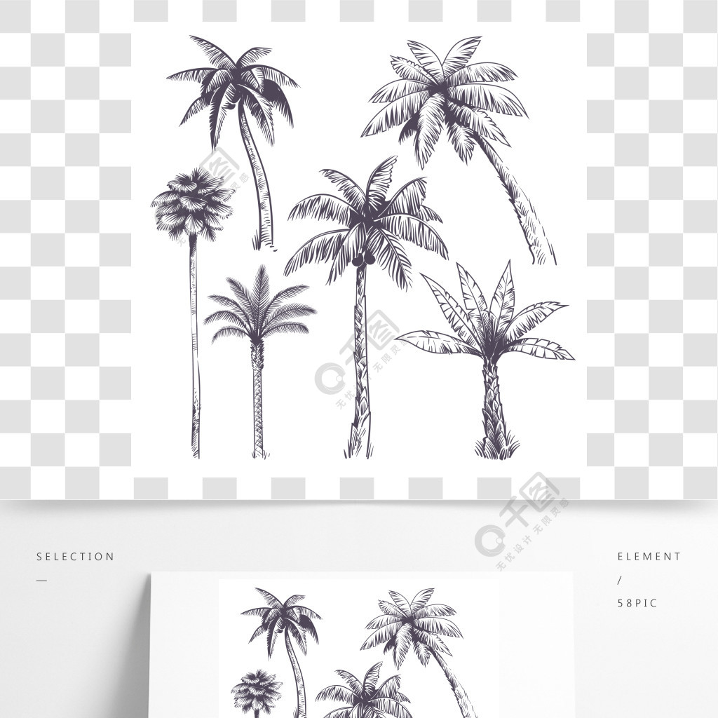 素描棕榈树手绘热带椰子棕榈树,非洲人的植物夏威夷暑假雕刻图矢量