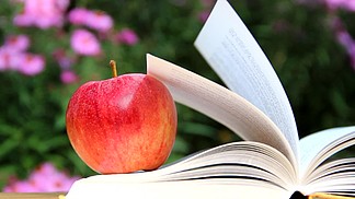 苹果在花园里的一本书上躺着，风在吹，翻页的书页上都是这样，ein Apfel liegt auf einem Buch <i>im</i> Garten und der Wind服装be<i>im</i> Wehen einig