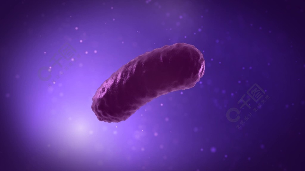 在紫色液体中快速细菌繁殖过程的特写镜头