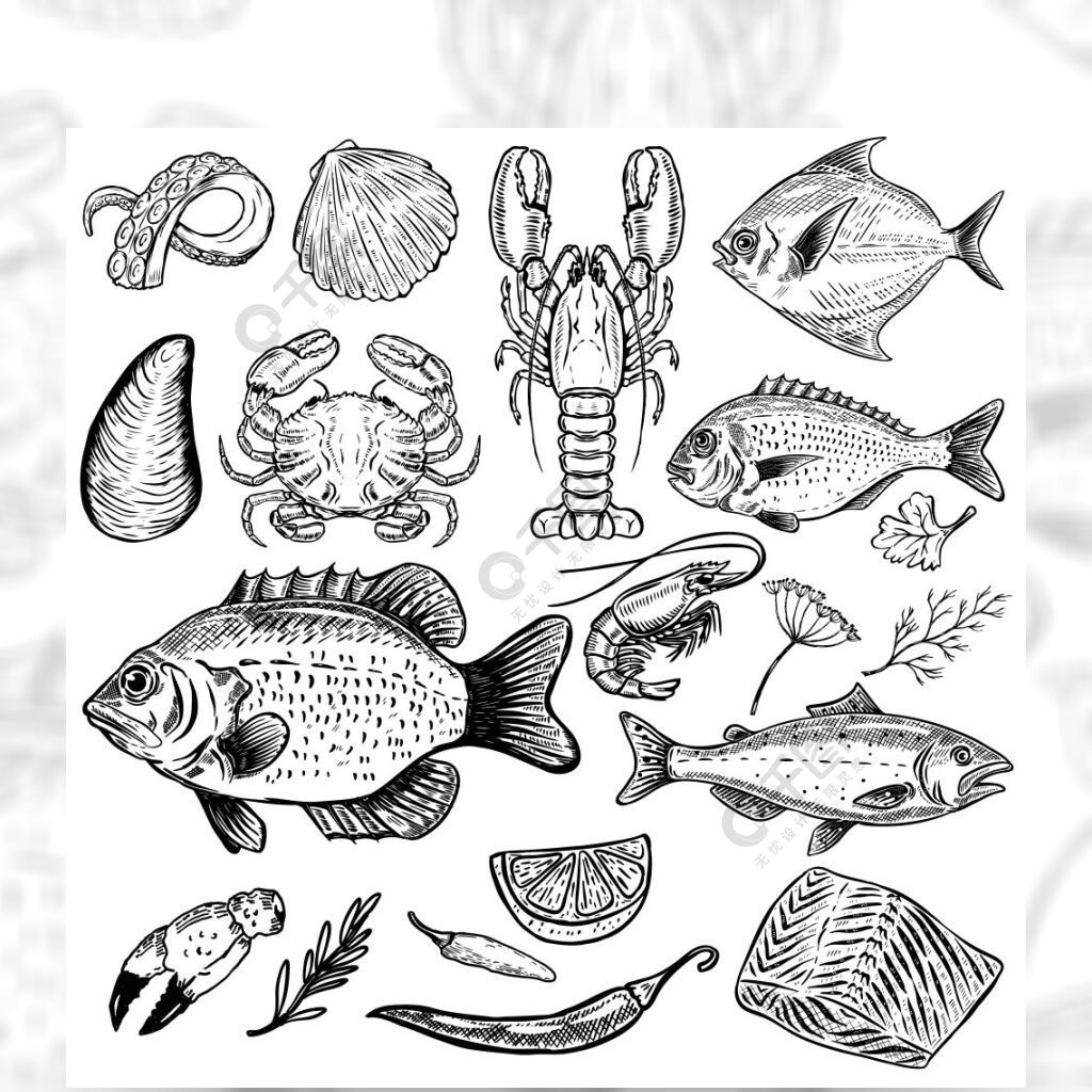 套在白色背景隔绝的手拉的海鲜例证鱼蟹龙虾牡蛎虾香料菜单海报的设计