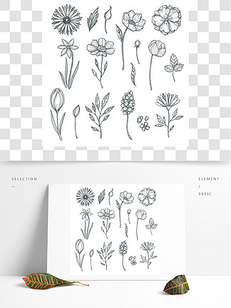 手绘<i>花</i>矢量植物的各种图片<i>花</i>和植物，<i>花</i>卉叶子剪影的例证手绘<i>花</i>矢量植物的各种图片