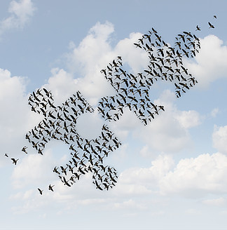 飞鸟困惑作为小组战略的一个企业概念，当二群鹅塑造了当七巧板编结一起作为配合成功隐喻