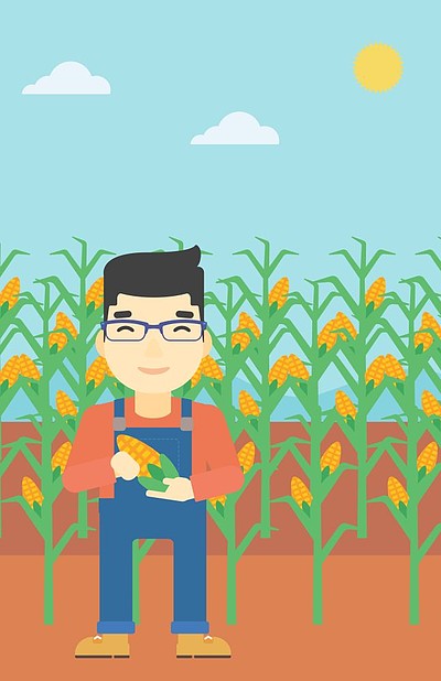 在麦地背景的年轻农夫矢量平面设计插画垂直的布局农民拿着玉米矢量图