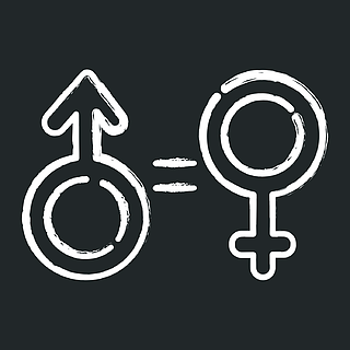 性别平等粉笔图标设置女人和男人的人权女性,男性的标志女权主义,民主