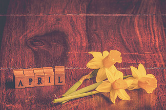 水仙花在四月黑暗的木桌上