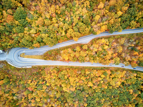 风景莫霍克族足迹高速公路hair子轮在秋天，马萨诸塞，美国落入新英格兰空中无人驾驶射击