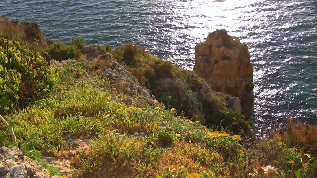 Blick auf Felsengebilde Stein im blauen Meer von einem mit bunten Blumen Gras bewachsenen Felsen?