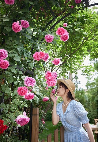 鲜花配美女花美人更美图片