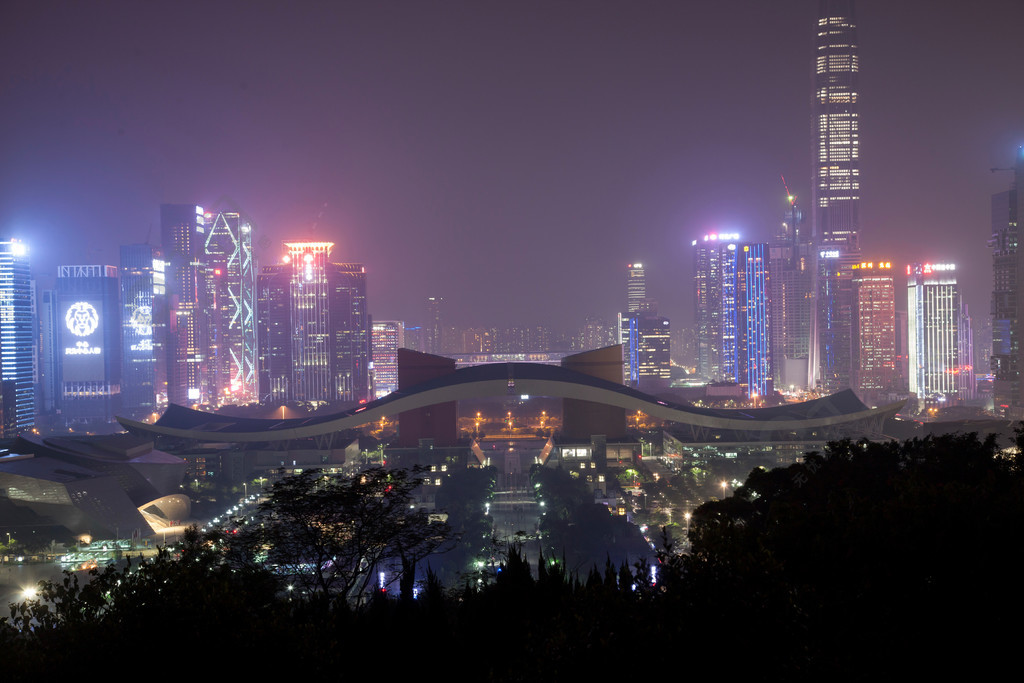 廣東省深圳蓮花山夜景