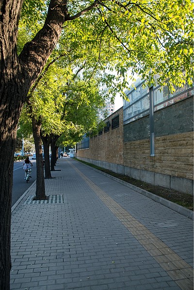 【风居住的街道】图片免费下载