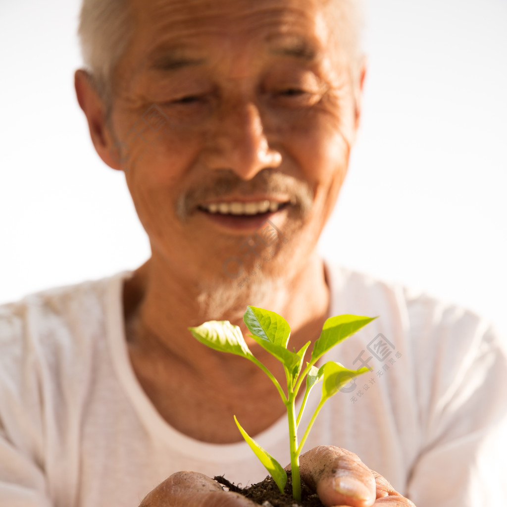 老農民手捧小苗