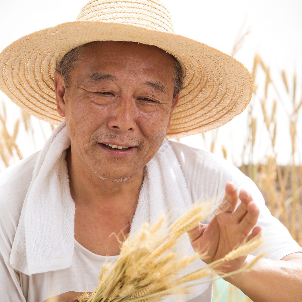 老農民在麥田裡人物形象免費下載_jpg格式_3840像素_編號39997332-千