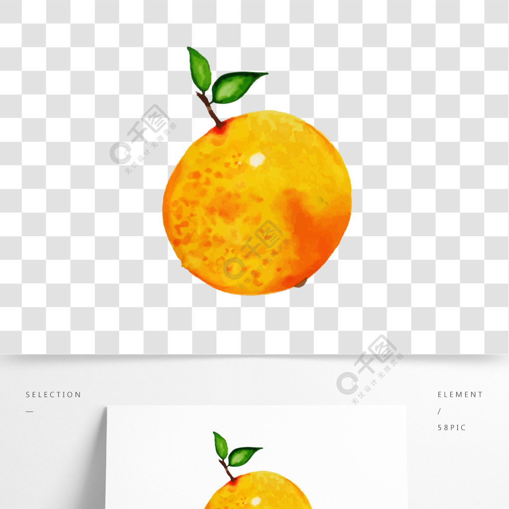 手绘水彩的橙子矢量素材