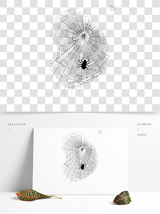 【黑白蜘蛛網】圖片免費下載_黑白蜘蛛網素材_黑白蜘蛛網模板-千圖網