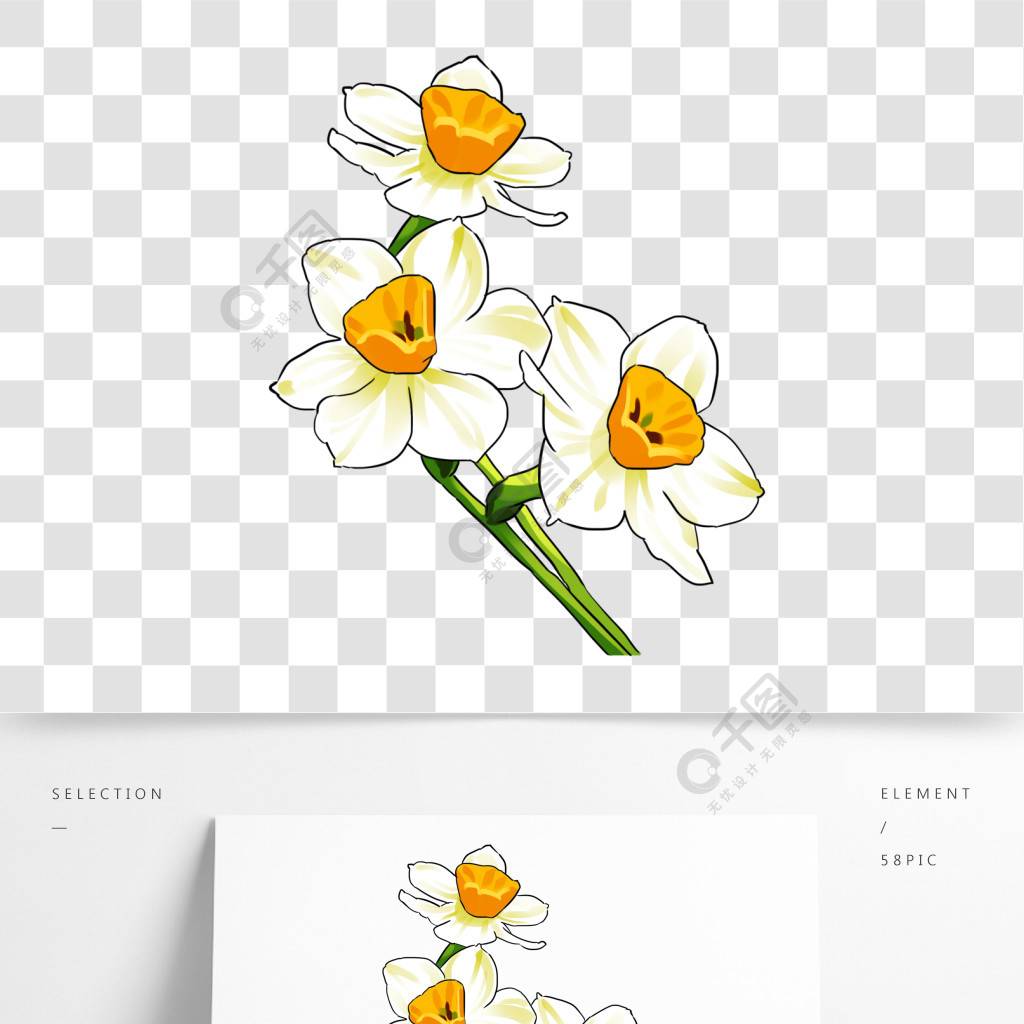 卡通小清新白色水仙花