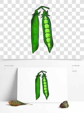 四季豆简笔画 彩色图片
