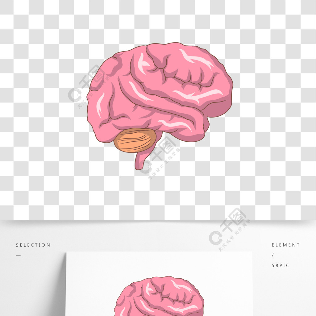 粉色的大腦手繪插畫2年前發佈