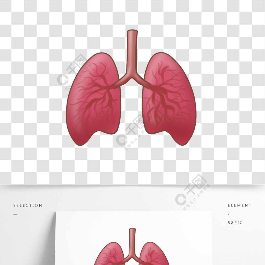 手繪人體器官肺插畫