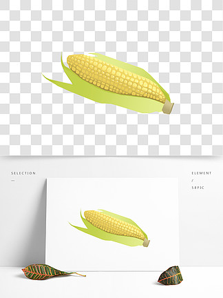 黃色的玉米手繪插畫2年前發佈