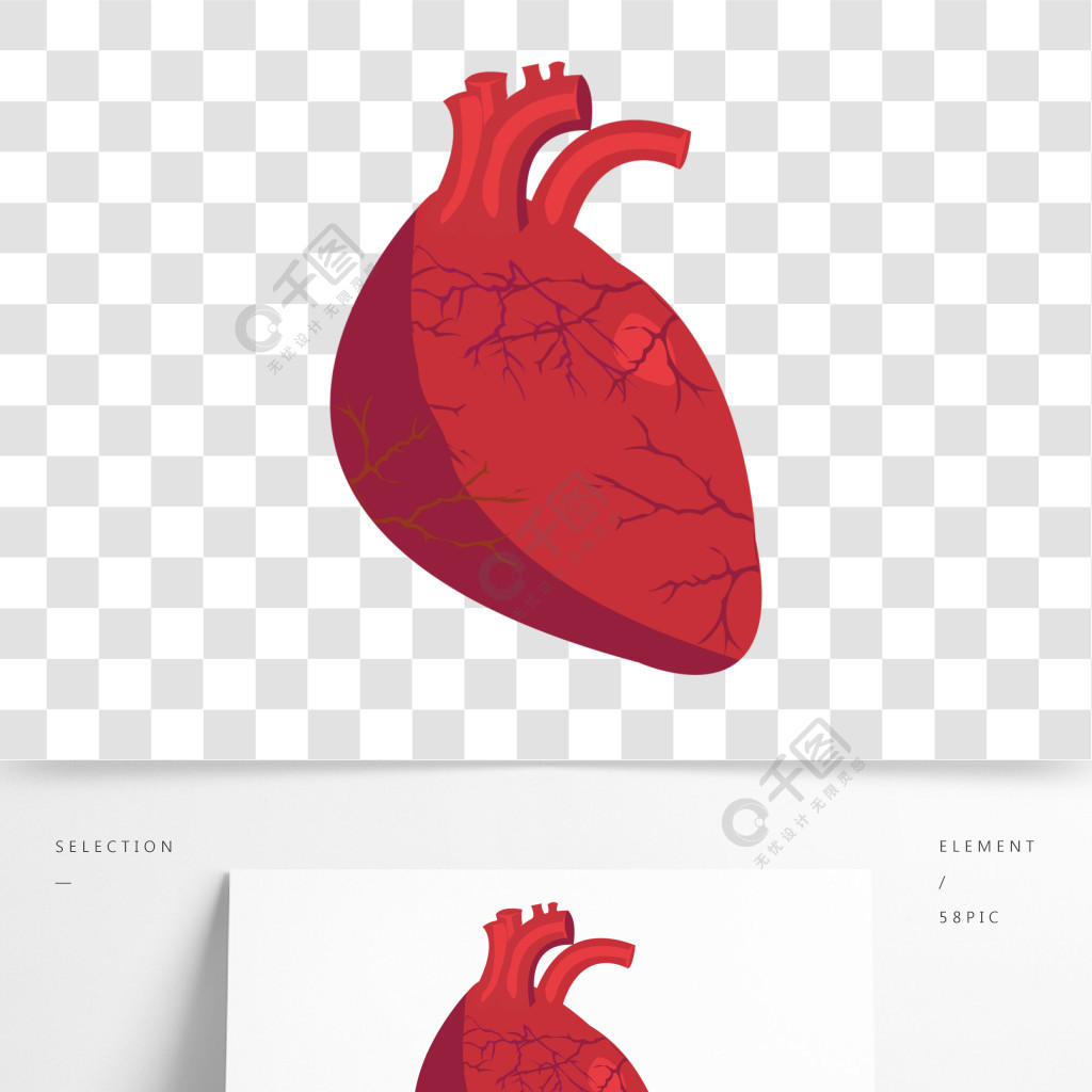 人体器官心脏插画模板免费下载_ai格式_650像素_编号34572533-千图网